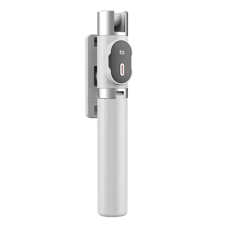 Selfie Stick Stand P60 100cm